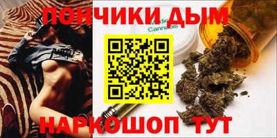 гидропоника Аша