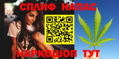 Альфа ПВП Ачхой-Мартан