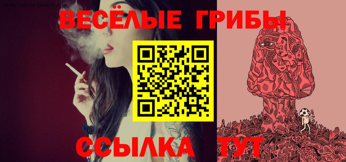 Батайск  Галлюциногенные грибы GOLDEN TEACHER  где найти наркотики  Вход с VPN 